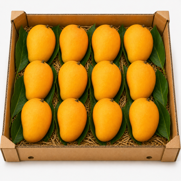 Ratnagiri Alphonso Mango – Medium Large (241–270g Each) – 1 Dozen
