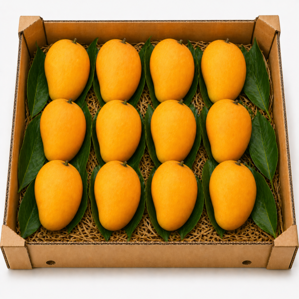 Ratnagiri Alphonso Mango – Medium Size (211–240g Each) – 1 Dozen