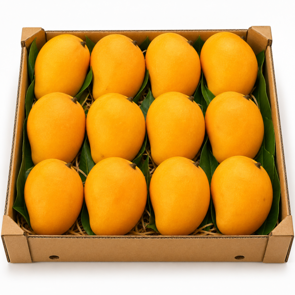Ratnagiri Alphonso Mango – Premium Jumbo (301g+ Each) – 1 Dozen