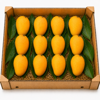 Ratnagiri Alphonso Mango – 1 Dozen Small-Med (181–210g)