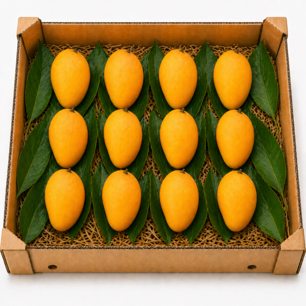 Ratnagiri Alphonso Mango – Small Size (150–180g Each) – 1 Dozen