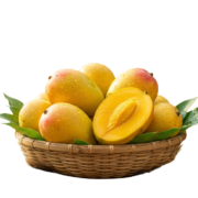 alponso mango