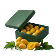 corpoarate gift
